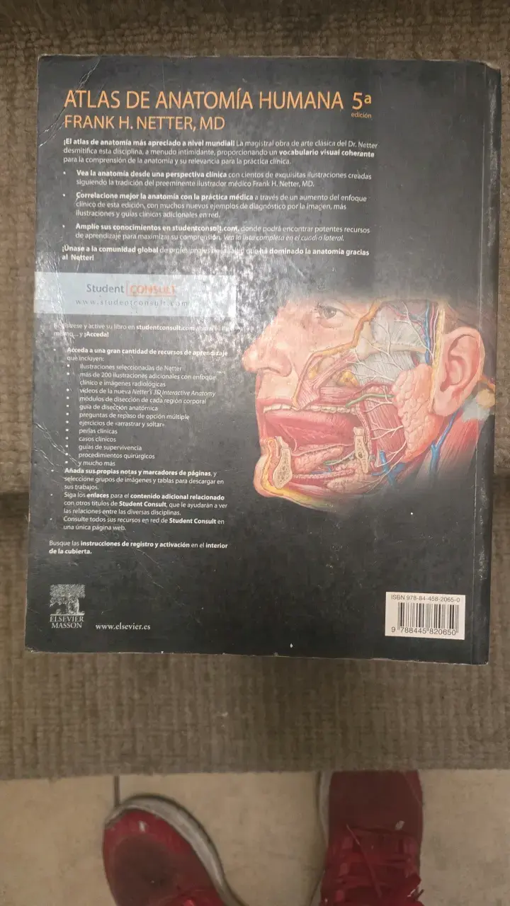Atlas de Anatomía Humana 5ª Edición Frank H. Netter - 2