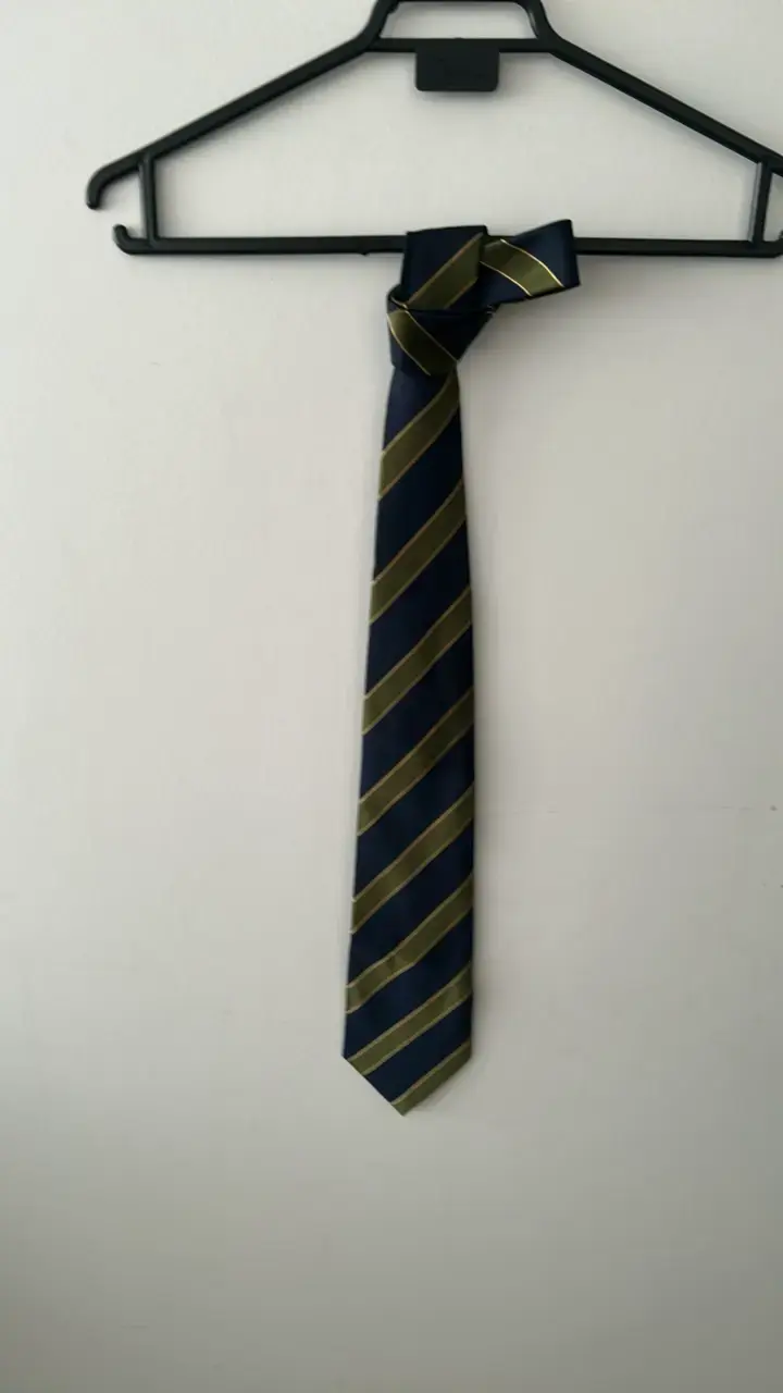Corbata de seda azul con rayas doradas Francesco Bruzz - 1