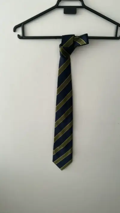 Corbata de seda azul con rayas doradas Francesco Bruzz - miniatura 1