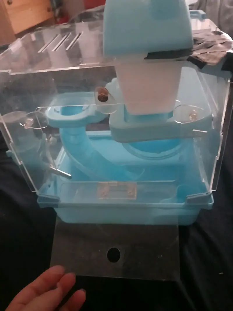 Jaula de hamster - 2