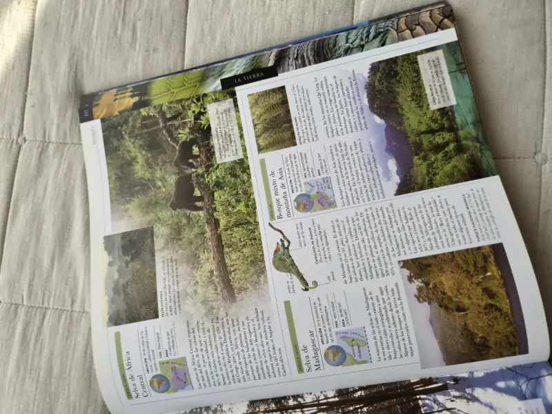 Libro 'Tierra' guía visual del planeta - 4