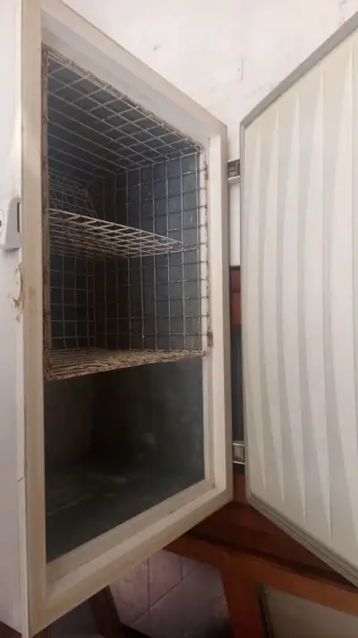 Congelador vertical Electrolux en buen estado - miniatura 2