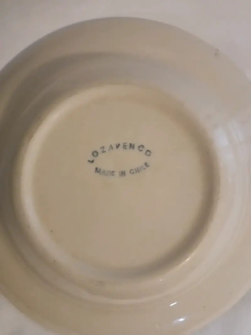 Plato de cerámica con borde verde Lozapenco - 2