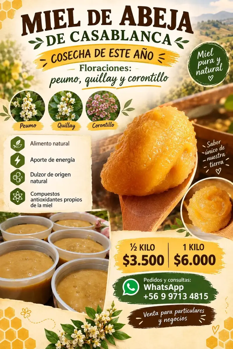 Miel de Abeja de Casablanca 1 Kilo - 1