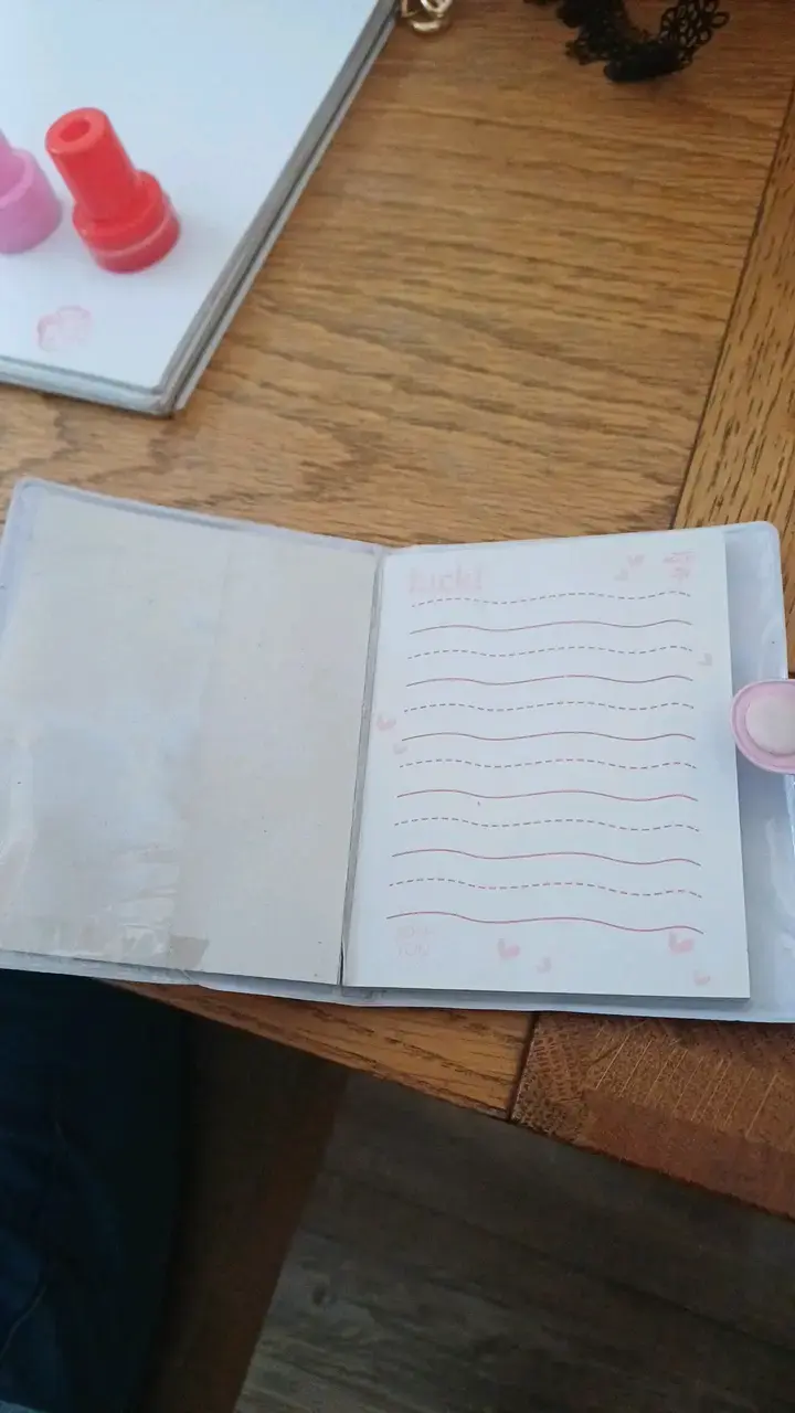 Mini libretita de dinosaurio