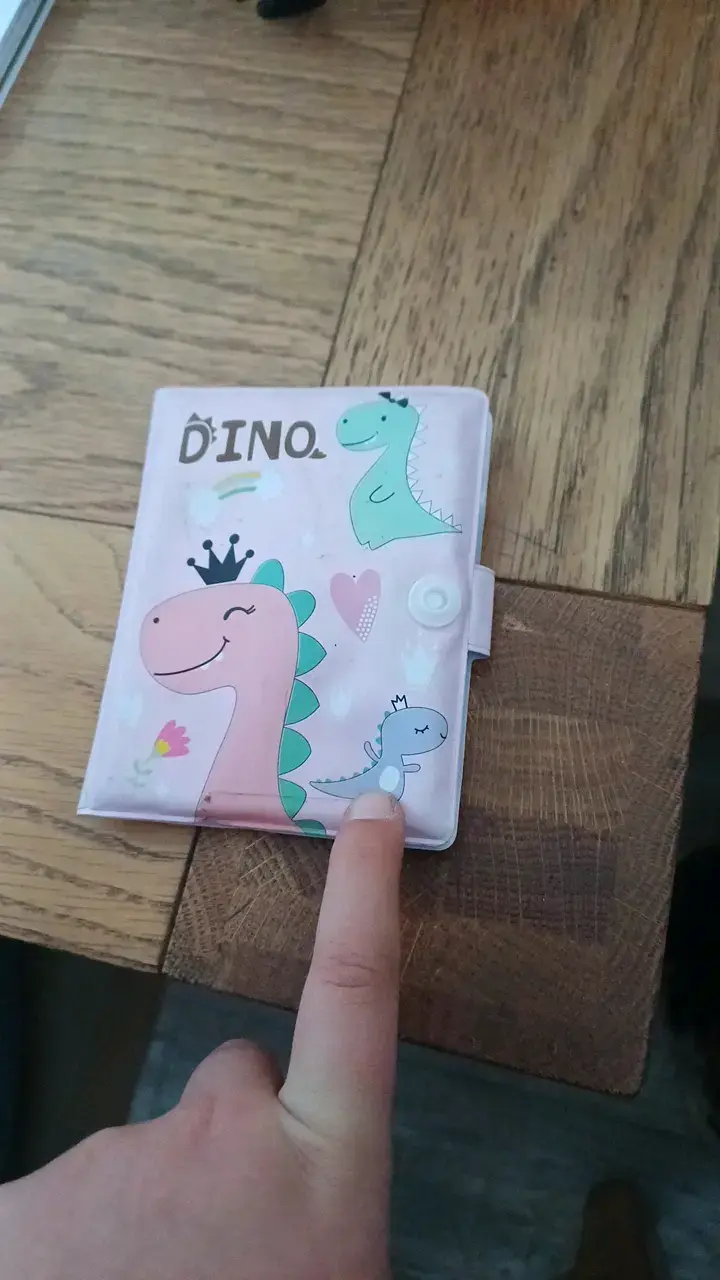 Mini libretita de dinosaurio - 2