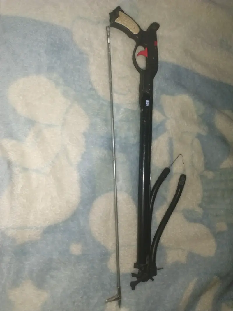 Lanza pothos para pesca - 2