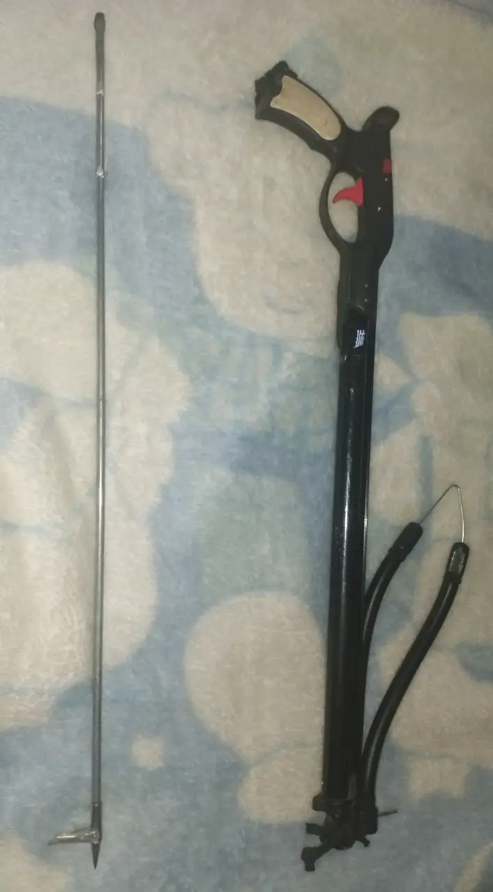 Lanza pothos para pesca - 3