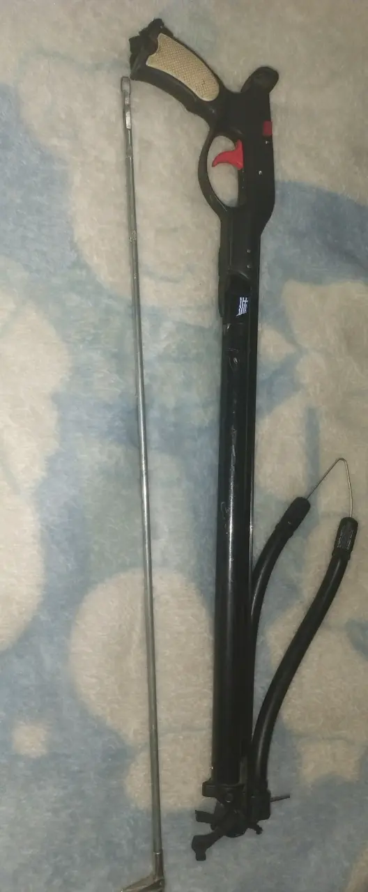 Lanza pothos para pesca - 4
