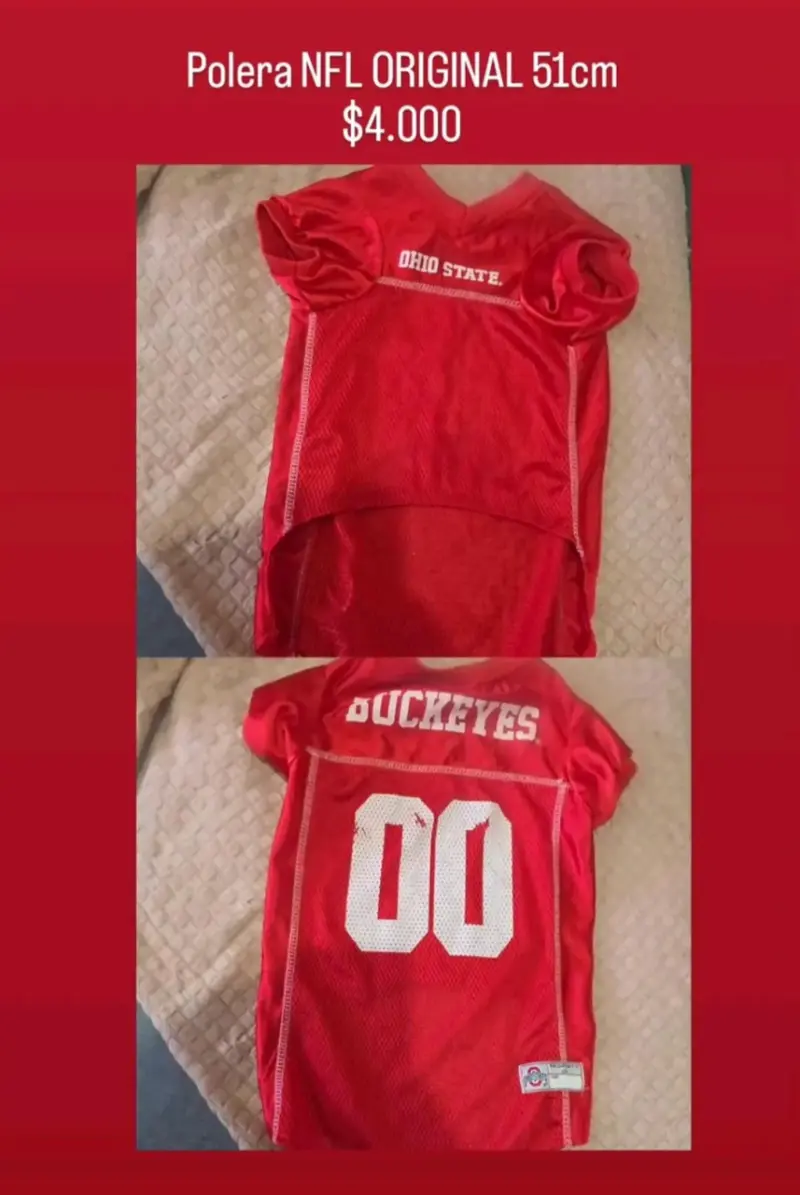 Ropa y accesorios para mascotas TODO ORIGINAL - 5