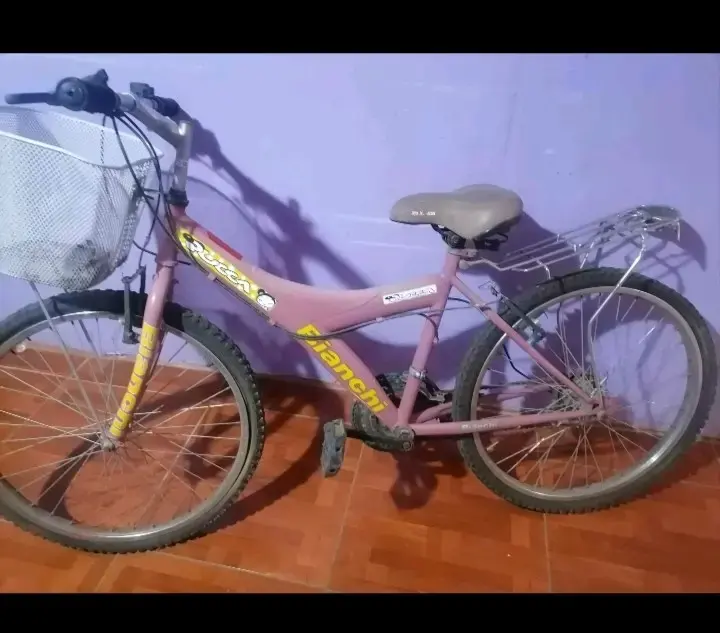 Bicicleta Bianchi Rocco con Canasto - 2