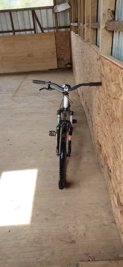 Bicicleta de dirt custom - miniatura 2