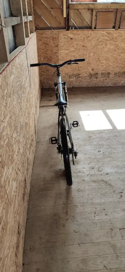 Bicicleta de dirt custom - miniatura 3