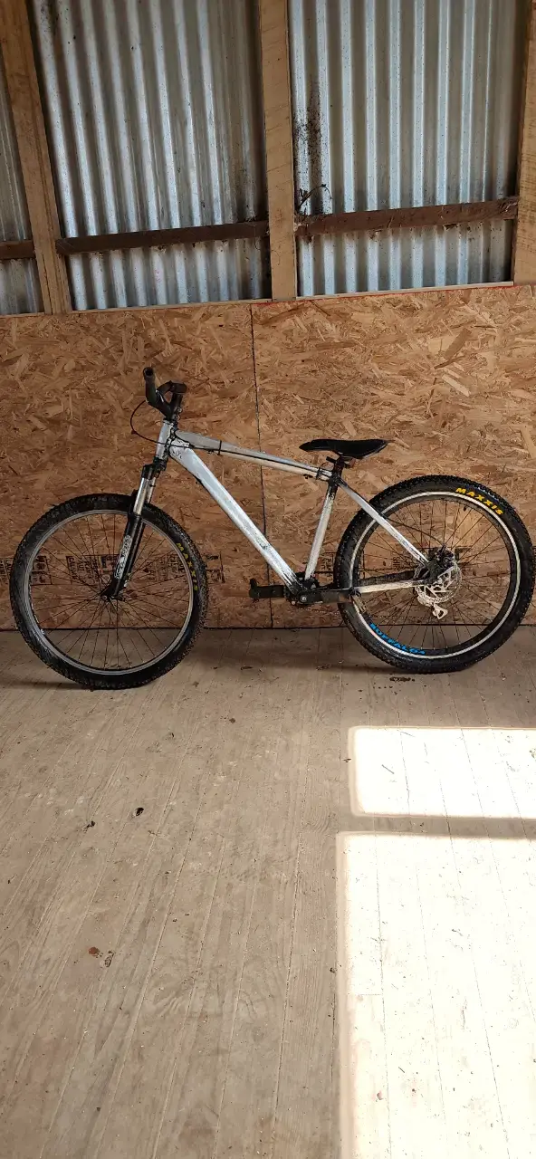 Bicicleta de dirt custom - 4
