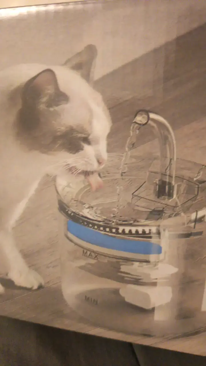 Fuente de agua para mascotas con filtro - 2