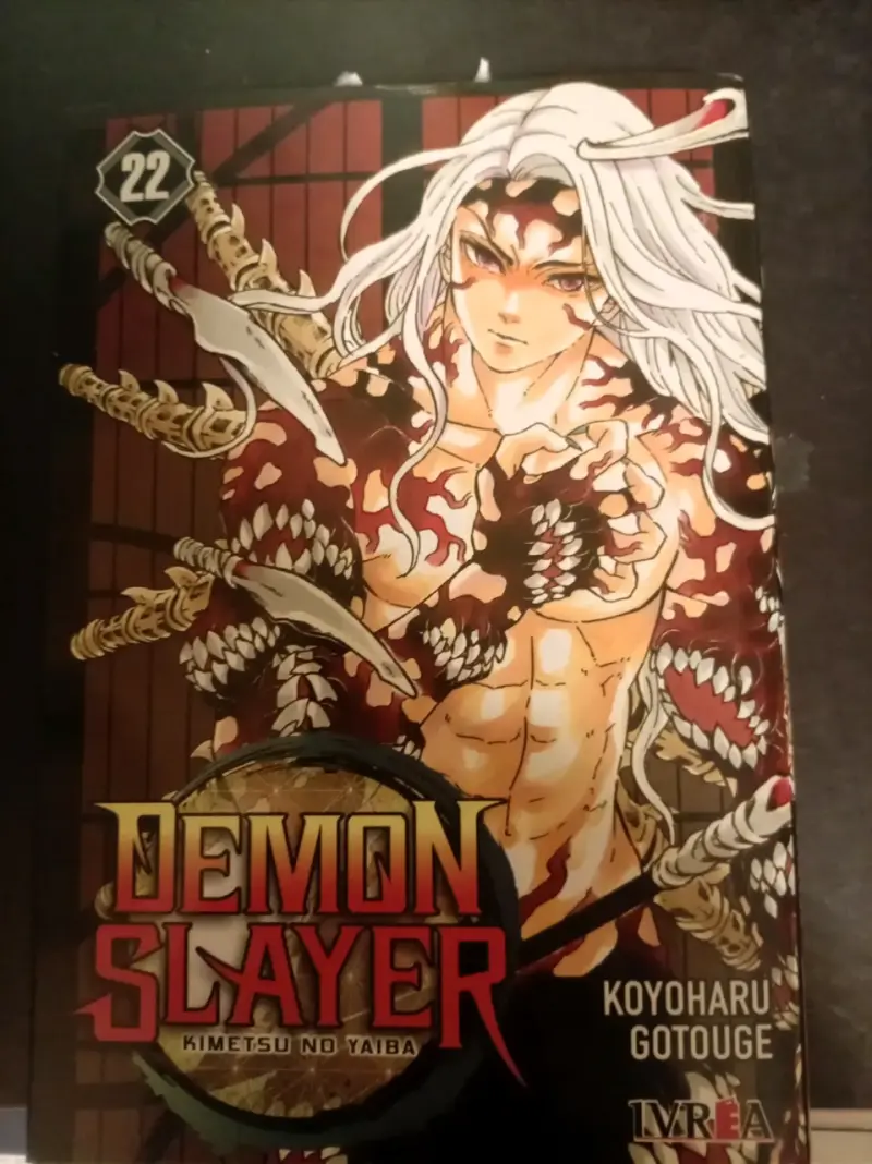 Manga Demon Slayer Volumen 22 de Koyoharu Gotouge - 1