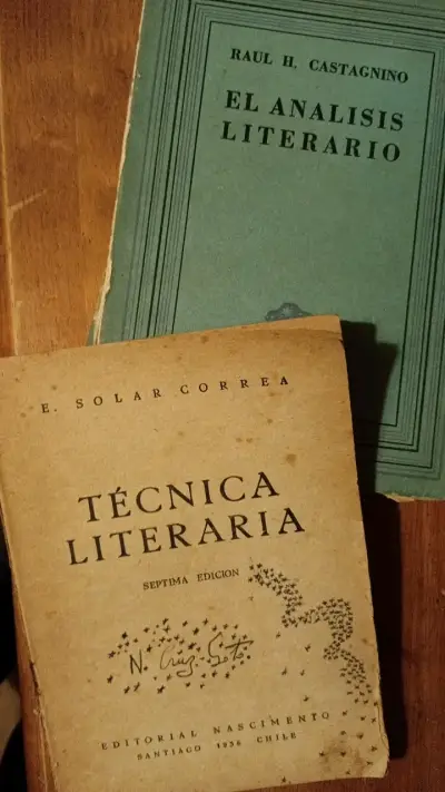 Libros de Análisis y Técnica Literaria - miniatura 1