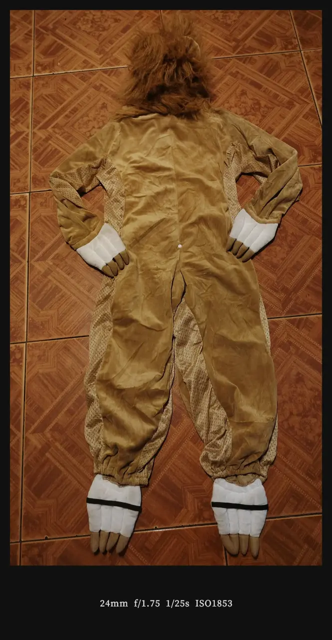 Disfraz de león para niños con capucha - 3