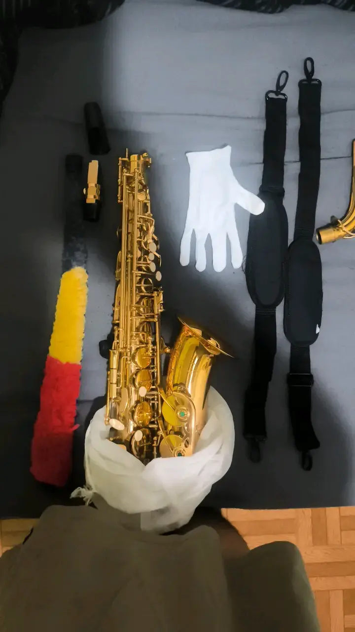 Saxofón alto dorado con accesorios completos - 3