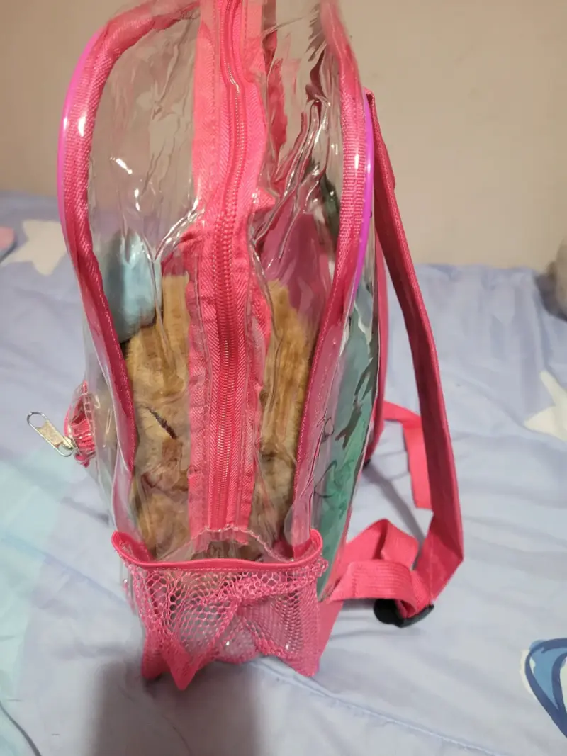Mochila transparente rosa para niños - 4