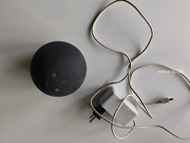 Alexa (Amazon) - 1