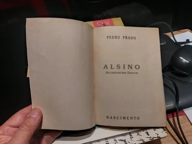Libro 'Nocturno Para Mi Madre' de Amanda Puz - 5