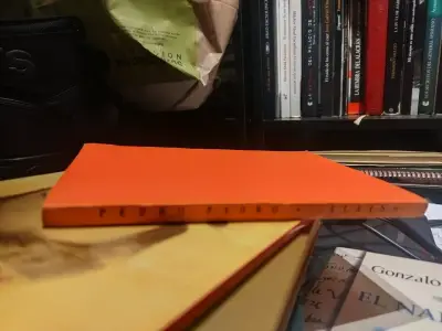 Libro 'Alsino' de Pedro Prado edición Nascimento - miniatura 4