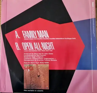 Vinilo Hall & Oates Family Man 45 RPM - miniatura 2