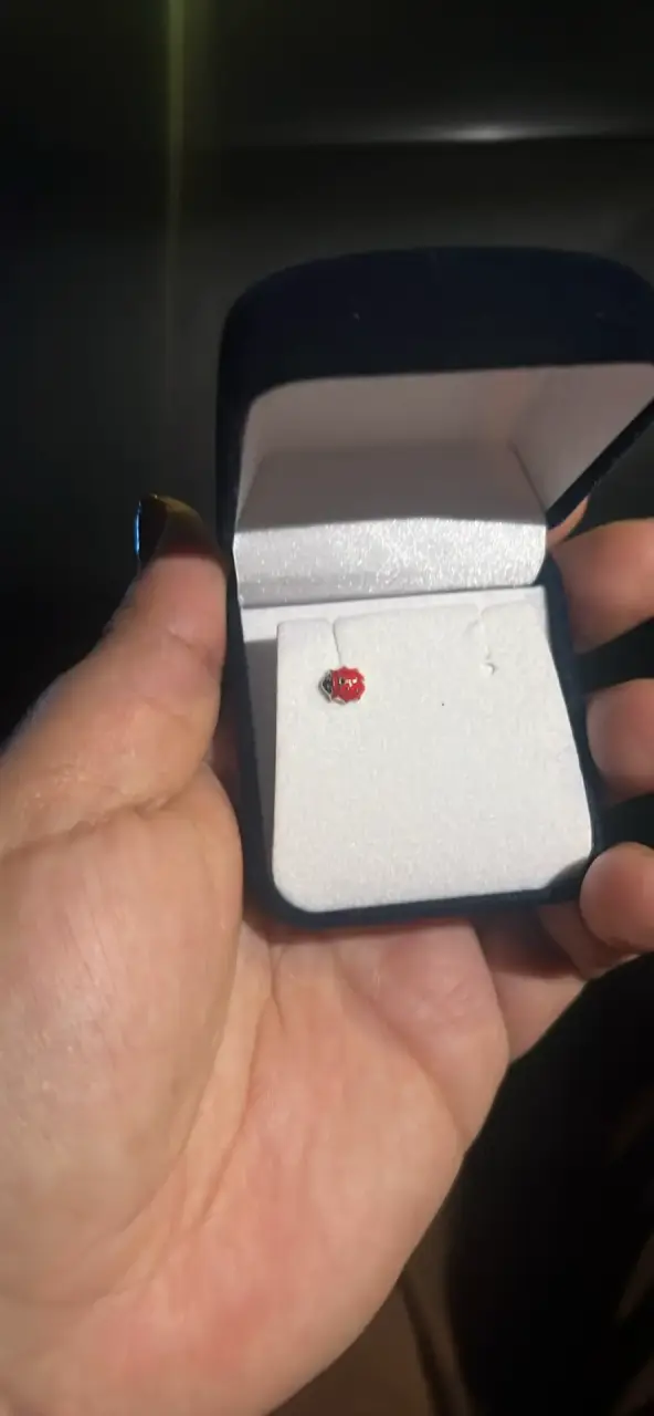 Pendiente de oro 14k con diseño de mariquita - 1