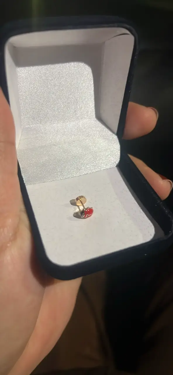 Pendiente de oro 14k con diseño de mariquita - 2