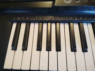 Teclado Casio CT-655 con Modulación PCM - miniatura 2