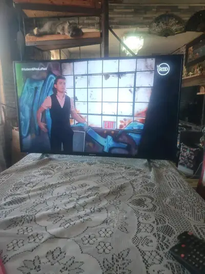 Televisor LED Hisense 50 pulgadas con control remoto - miniatura 2
