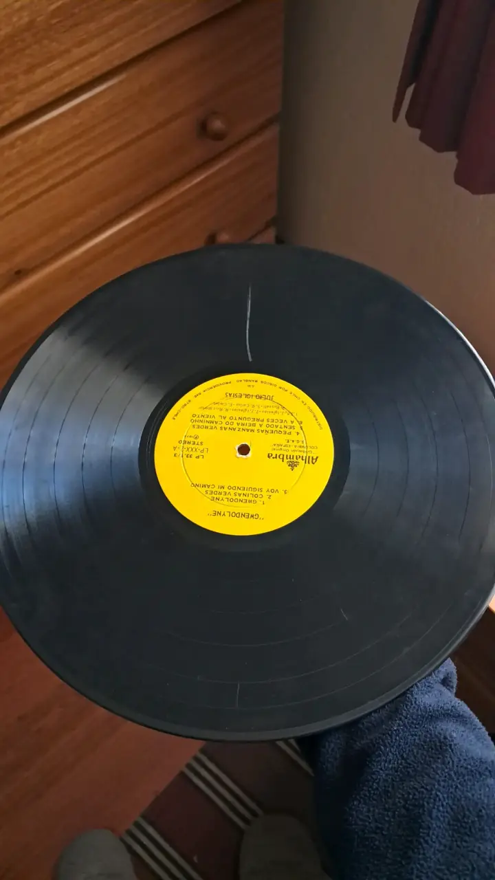 Vinilo Julio Iglesias - Gwendolyne - 4