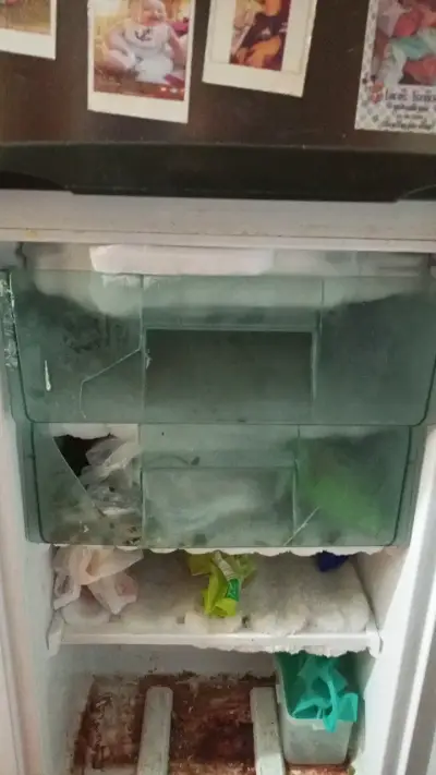 Refrigerador Mademsa de dos puertas en buen estado - miniatura 3
