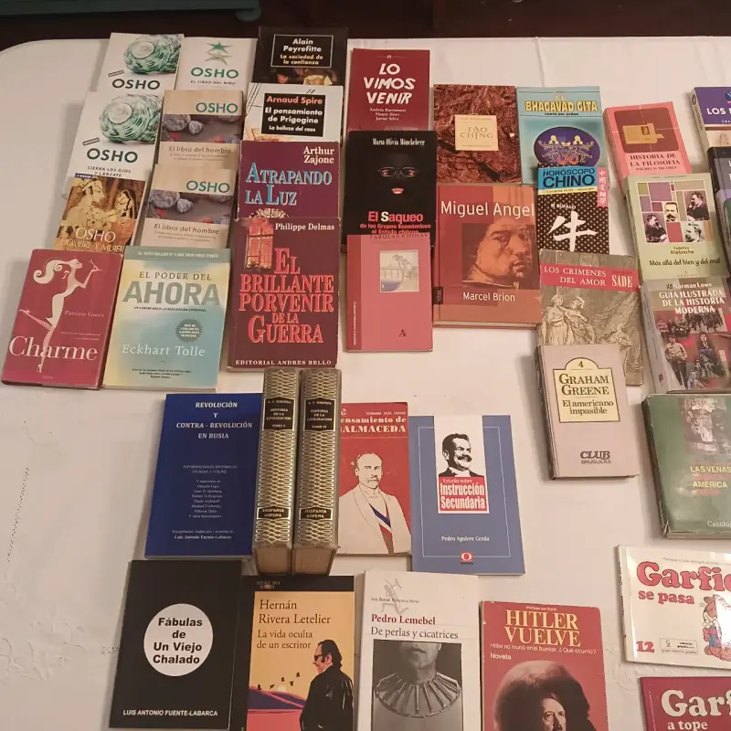 Lote de libros variados de diferentes géneros - 2