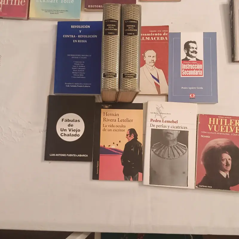 Lote de libros variados de diferentes géneros - 5
