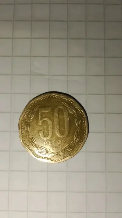Moneda de 50 pesos chilenos 2008 "CHIIE" - miniatura 1