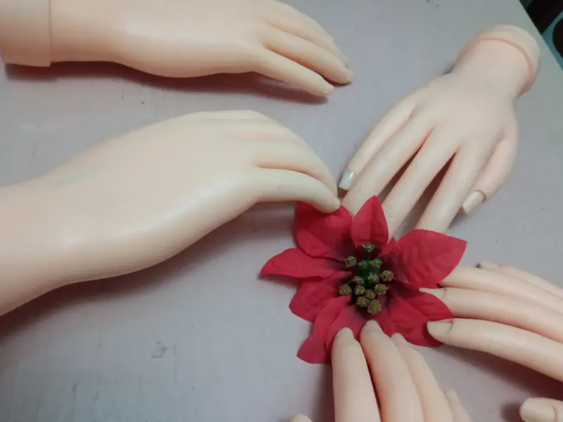 Manos de práctica para manicura - 3