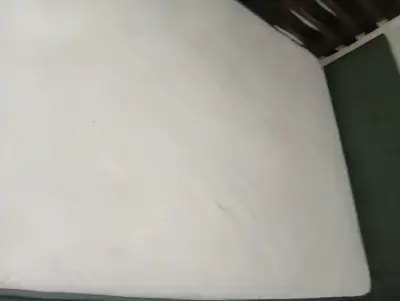 Cama + Respaldo y Colchón de 2 plazas - miniatura 3
