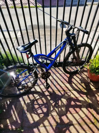 2 Parlantes, bicicleta, televisor - miniatura 4