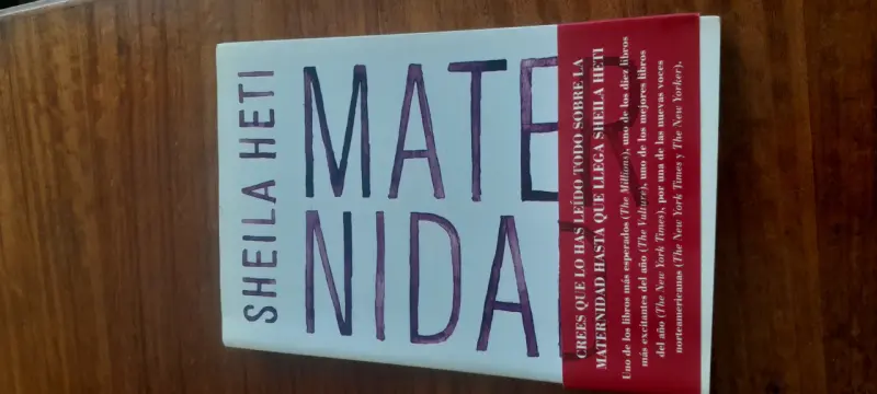 Maternidad de Sheila Heti - 1
