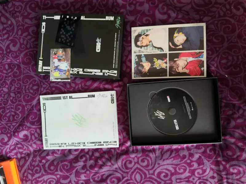 Álbum Stray Kids Go - 1