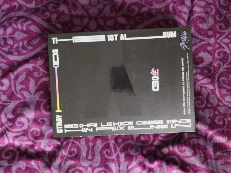 Álbum Stray Kids Go - 2