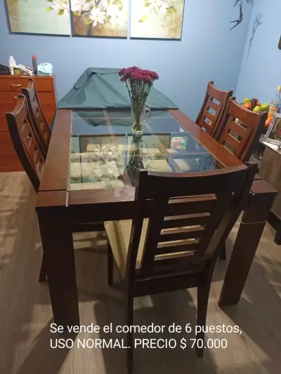 Calefón a gas Mademsa Forza Tiro Forzado y otros - miniatura 3