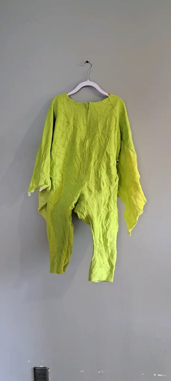 Disfraz terodactilo talla 4