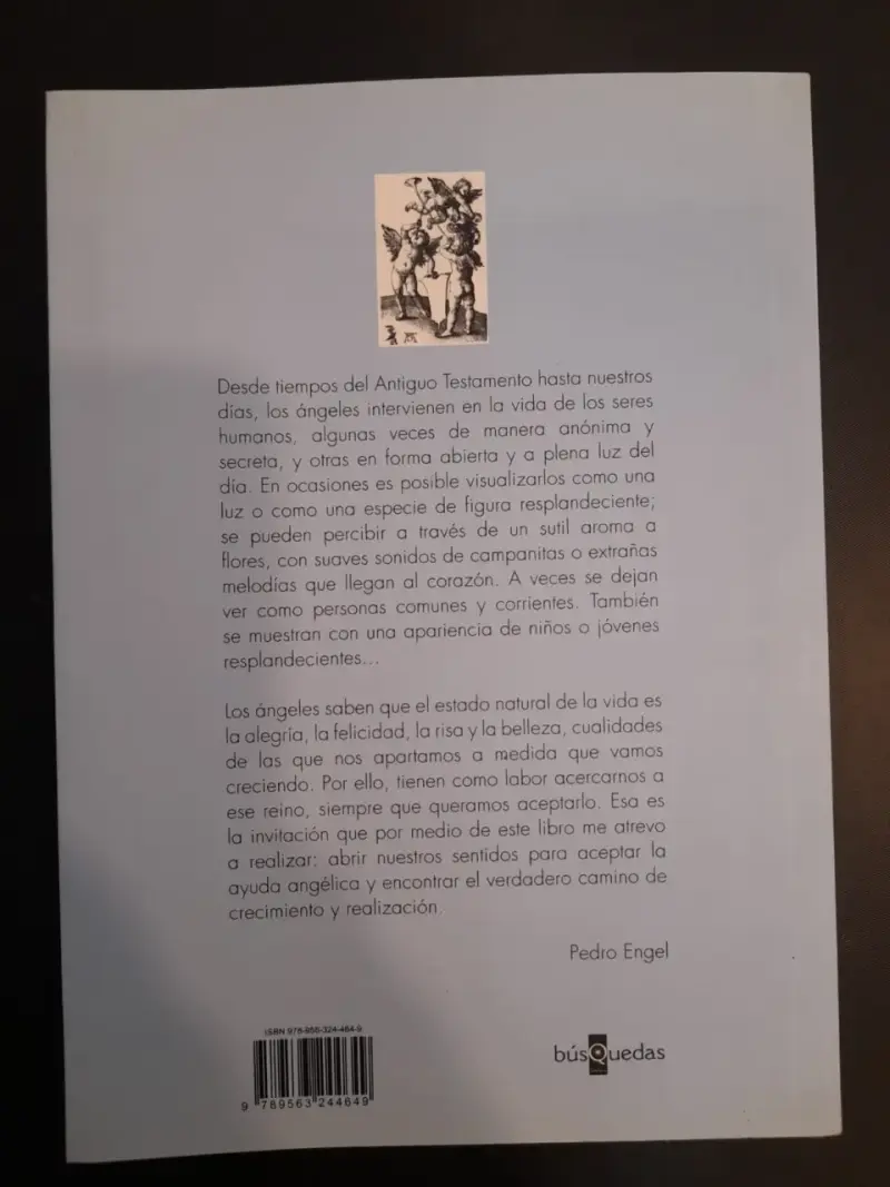 Libro Ángeles: Los Mensajeros de la Luz de Pedro Engel - 2