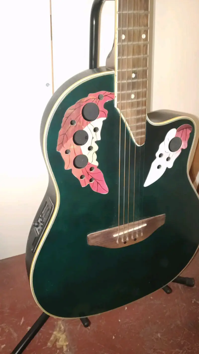 Guitarra electroacústica Freeman con accesorios - 5