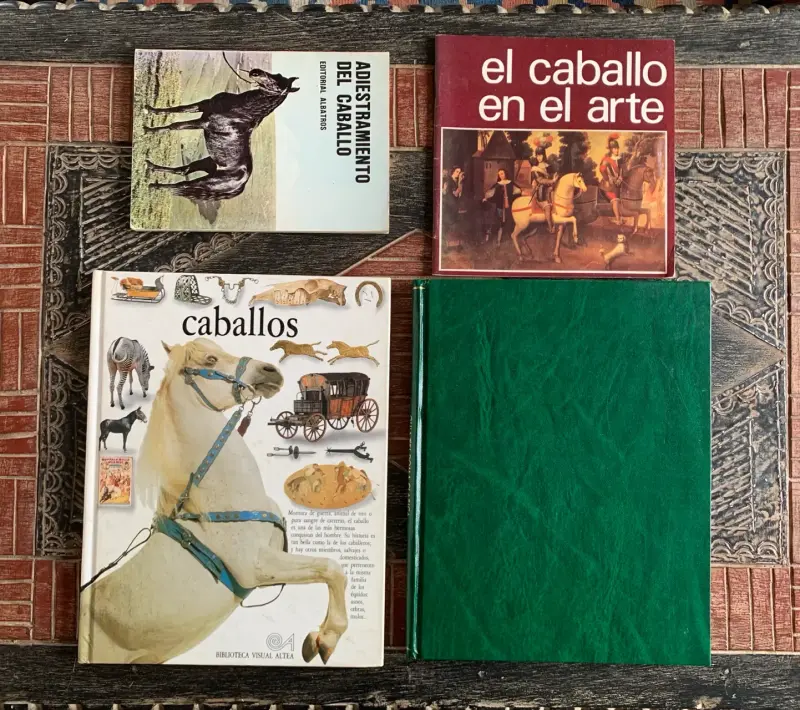 Colección de libros sobre caballos y equitación - 1