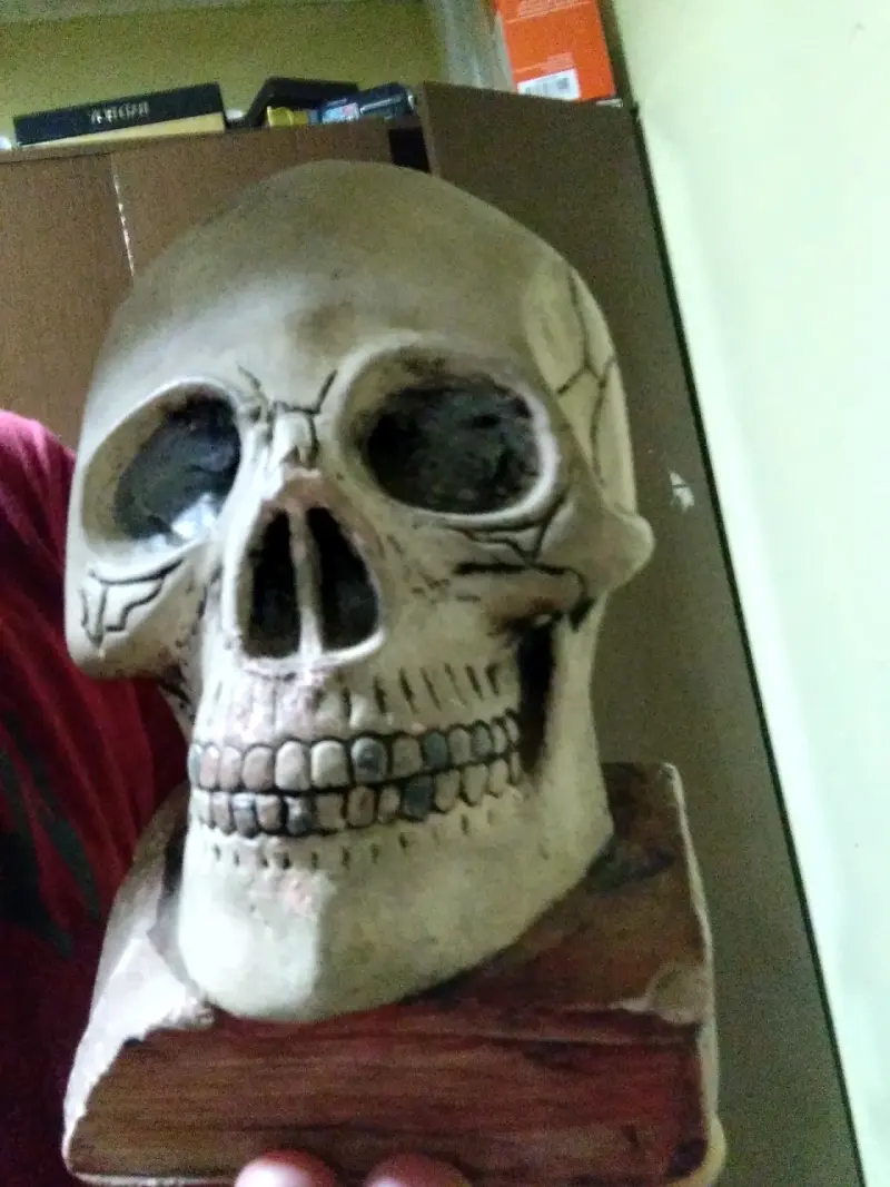 Decoración de calavera de resina para Halloween