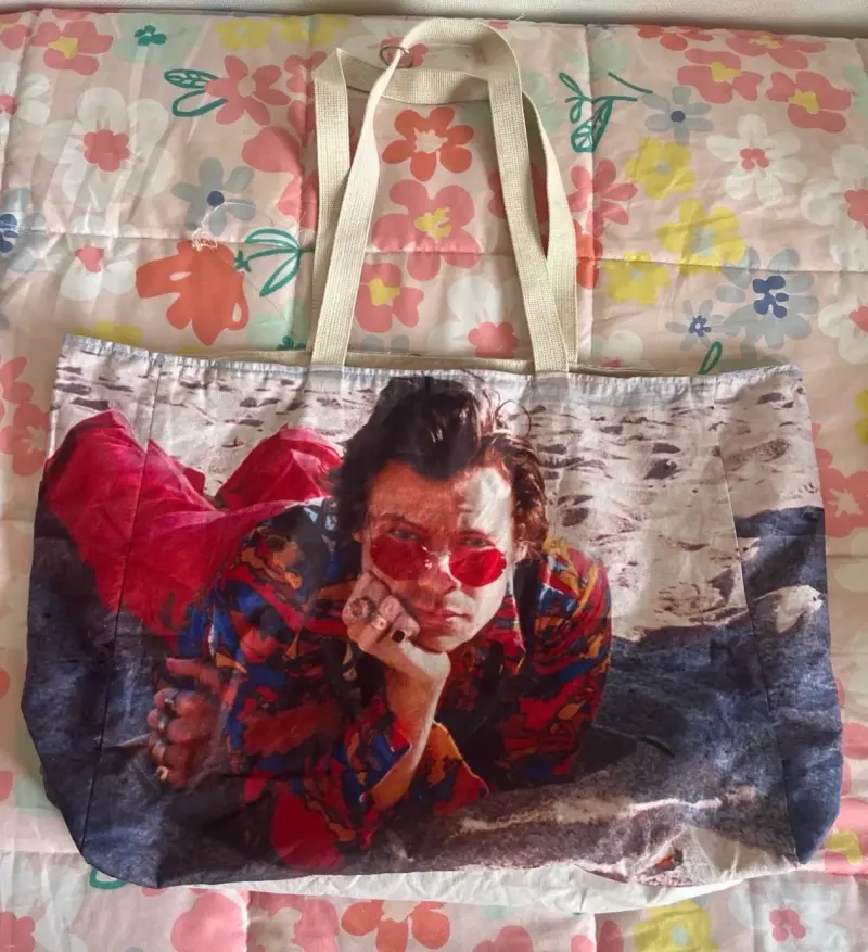 Bolso tote Harry styles